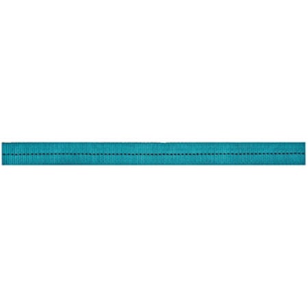 Cypher 0.68 in. x 300 ft. Tubular Webbing, Teal 438060